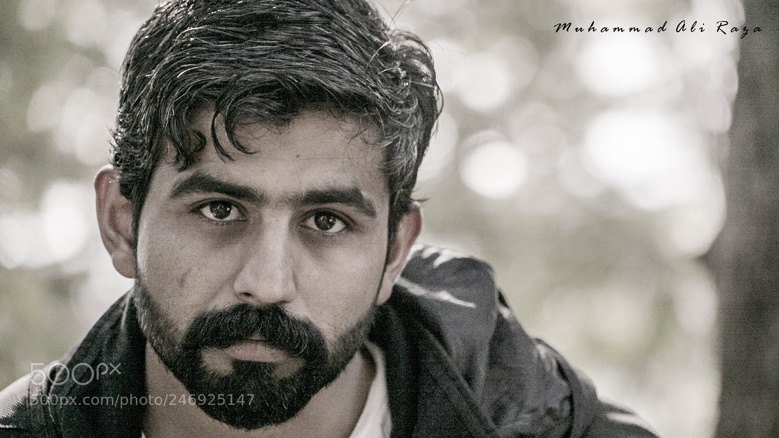 Sony a7S II sample photo. Dsc photography