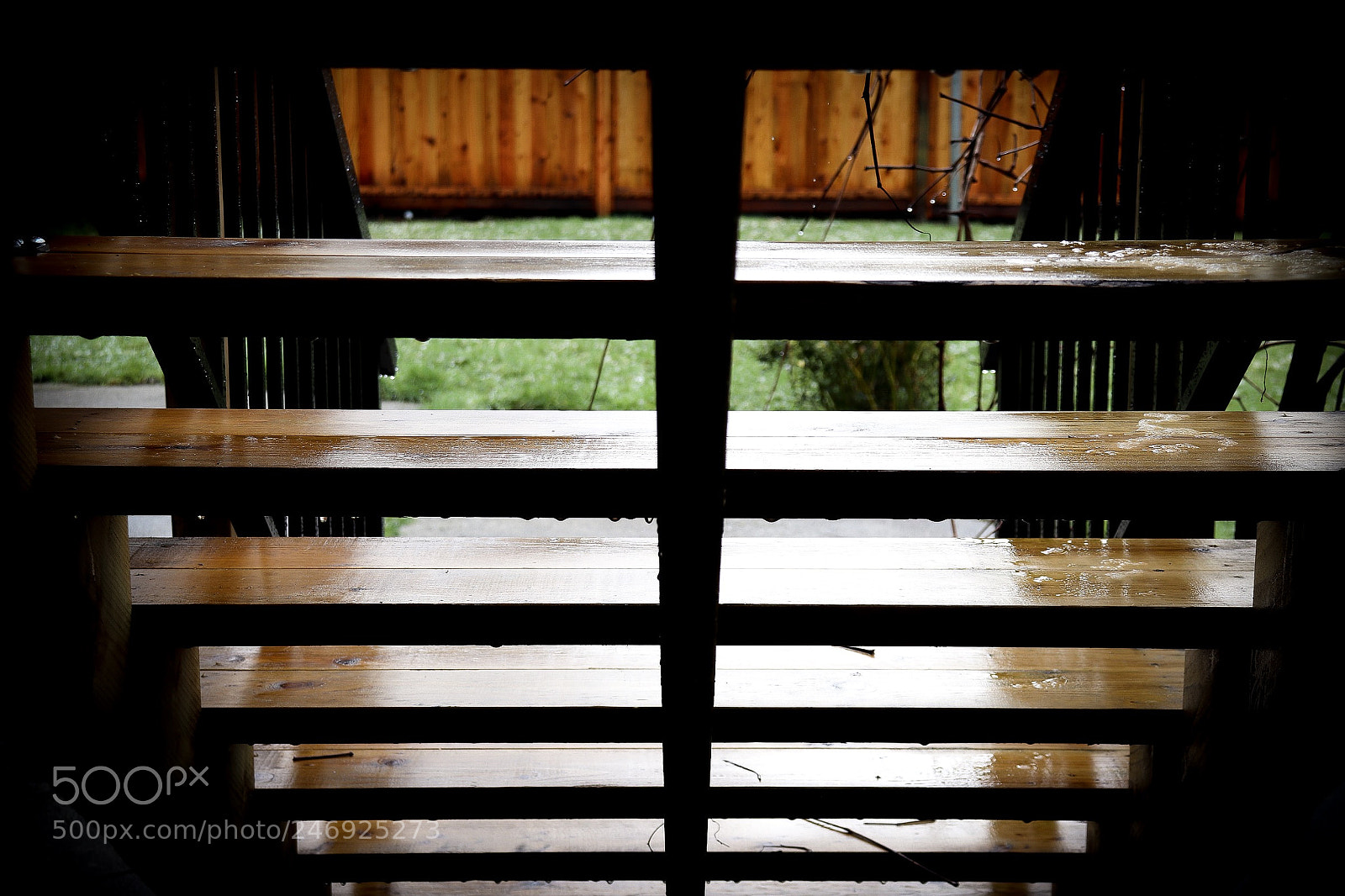 Canon EOS 800D (EOS Rebel T7i / EOS Kiss X9i) sample photo. Saturated stairs photography