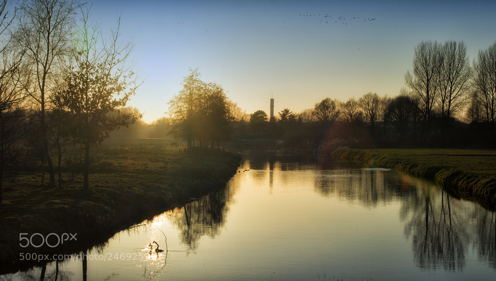Nikon D7200 sample photo. Golden hour to blue photography
