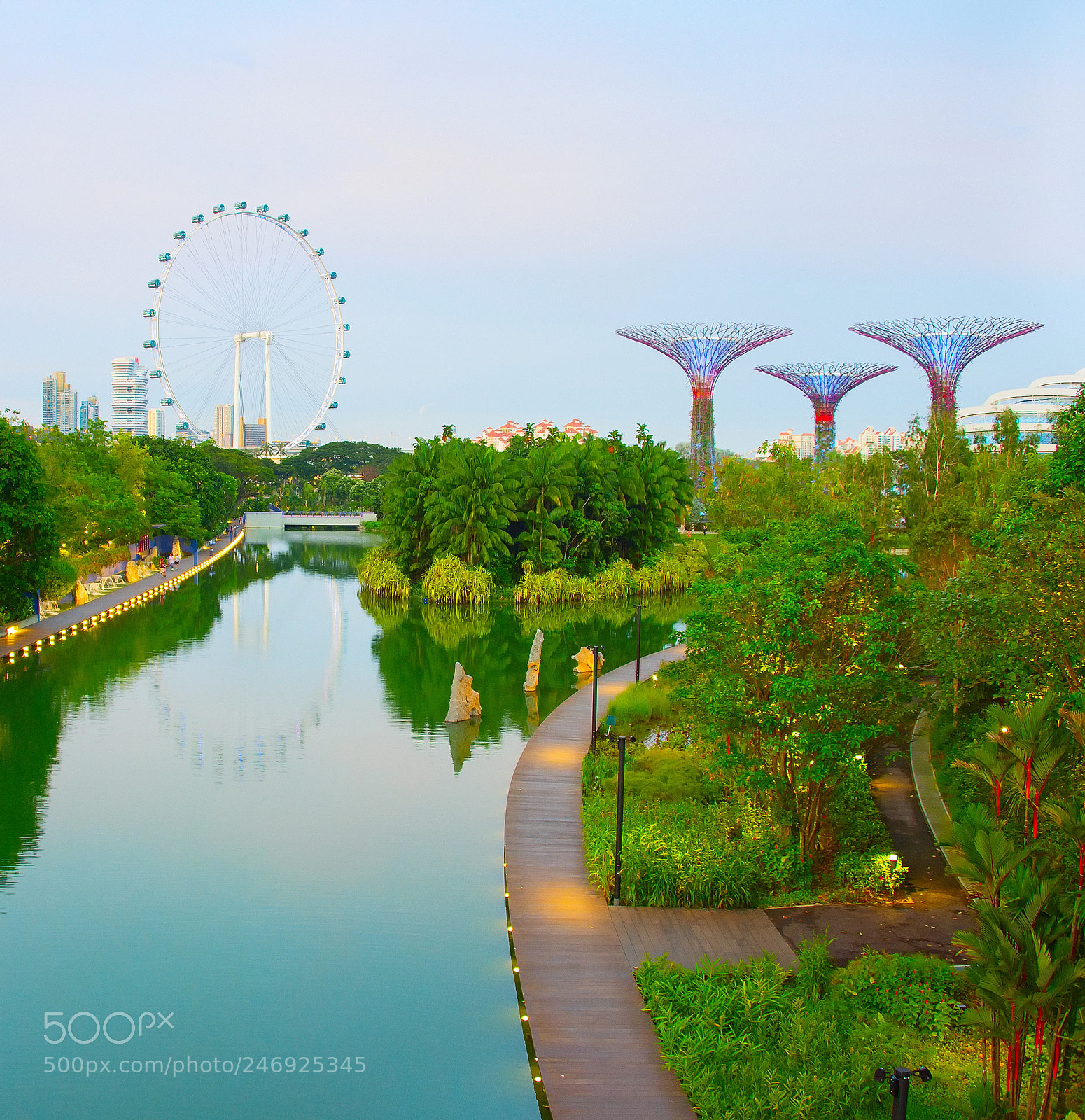 Nikon Df sample photo. Singapore gardens by the photography