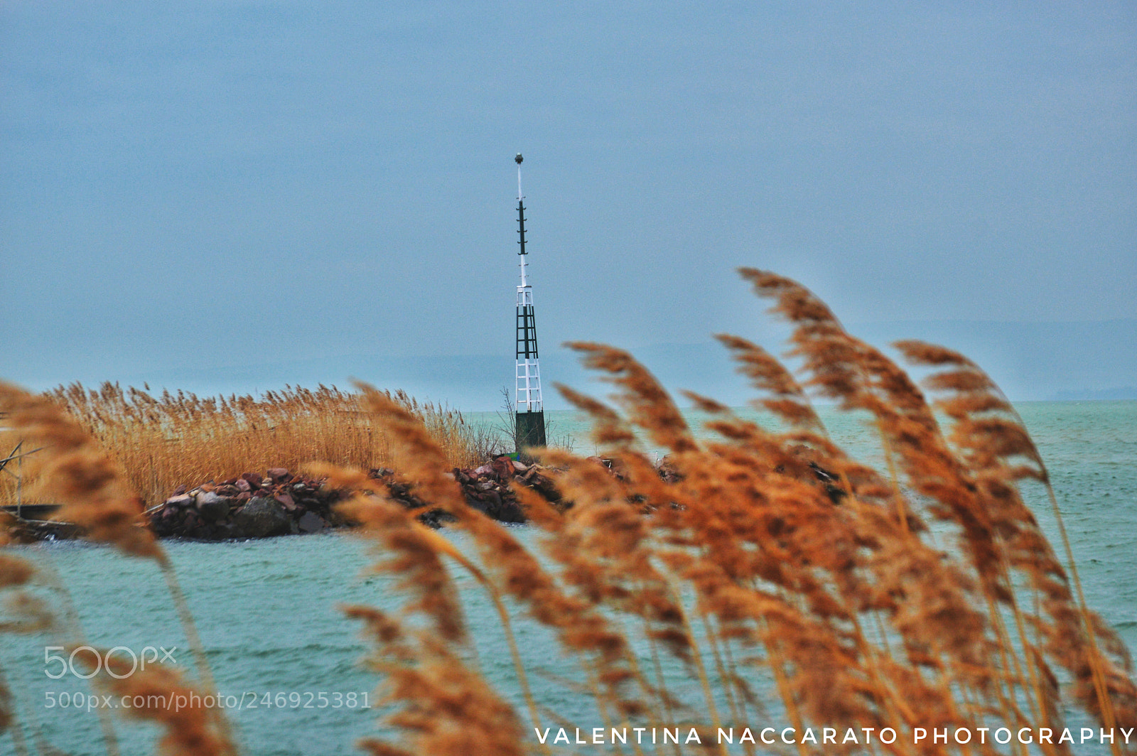 Nikon D3200 sample photo. Silence in the noises photography