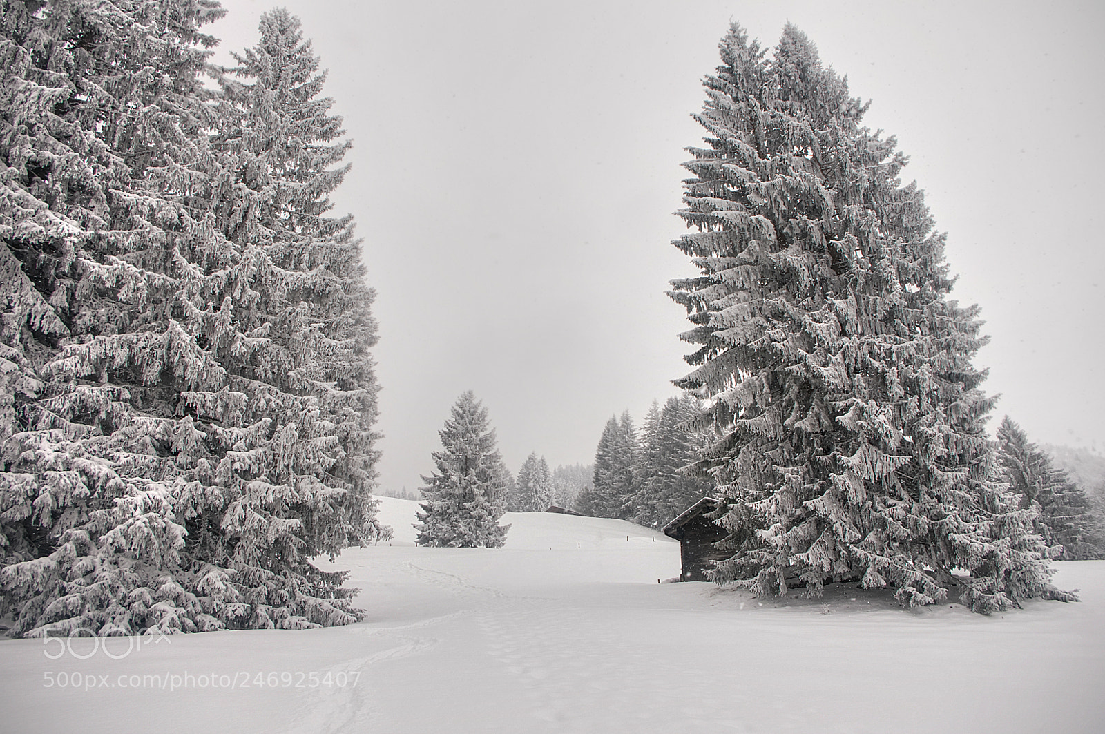 Pentax K-7 sample photo. Winterland gerschnialp photography