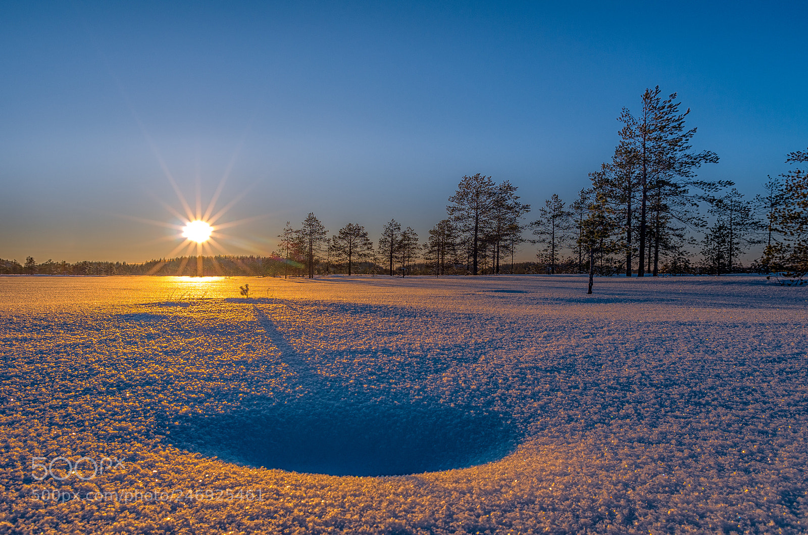 Pentax K-5 IIs sample photo. *** photography