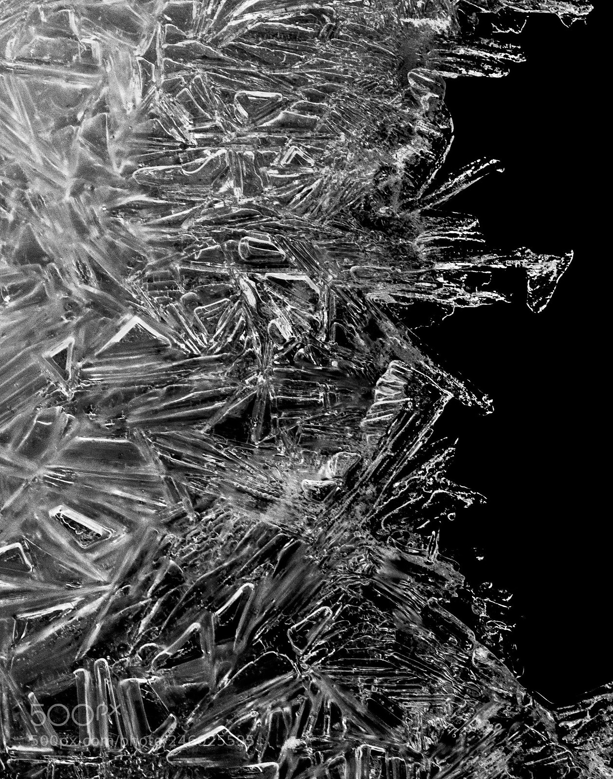 Olympus OM-D E-M1 sample photo. Nature`s pattern photography