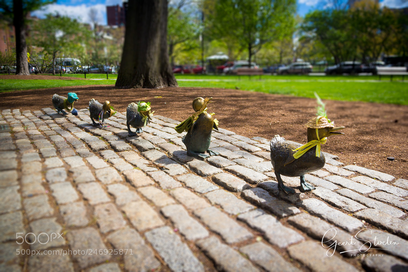 Canon EOS 60D sample photo. Bronze ducks photography
