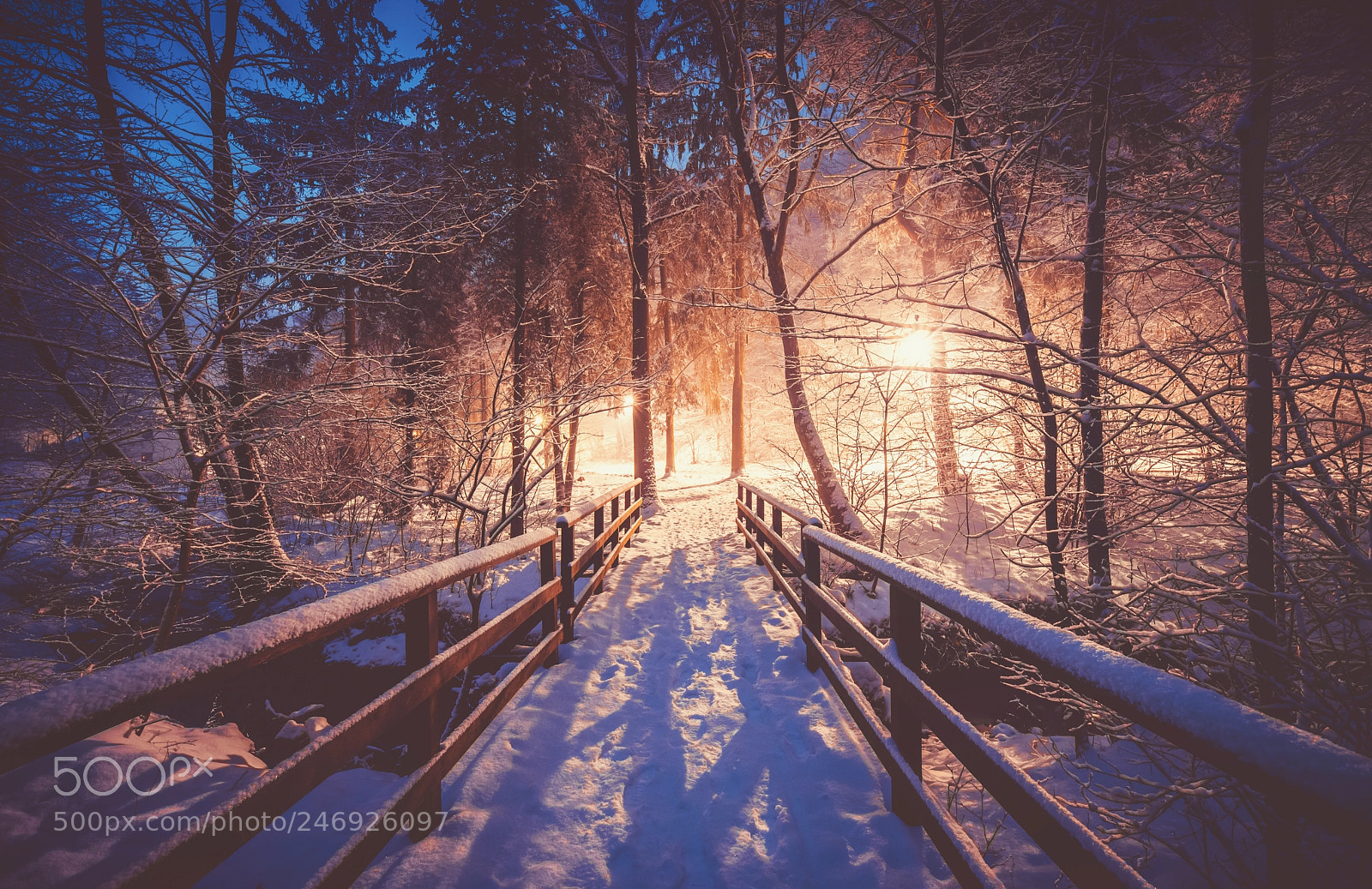 Pentax K-1 sample photo. Winter crossing photography