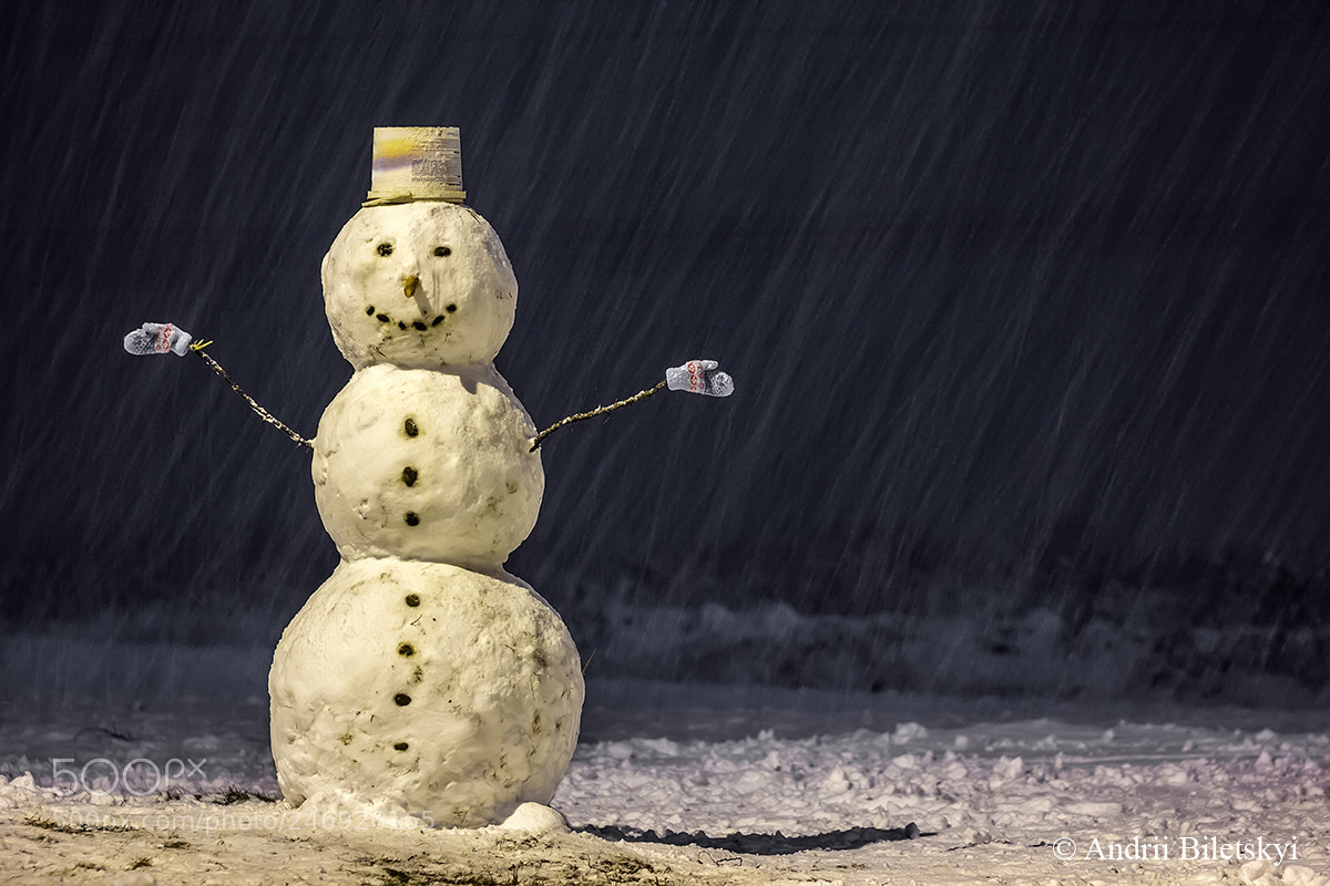 Canon EOS 60D sample photo. Snowman photography