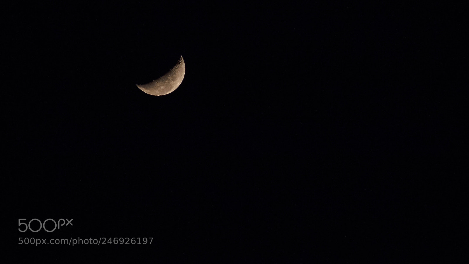 Canon EOS 600D (Rebel EOS T3i / EOS Kiss X5) sample photo. Img photography