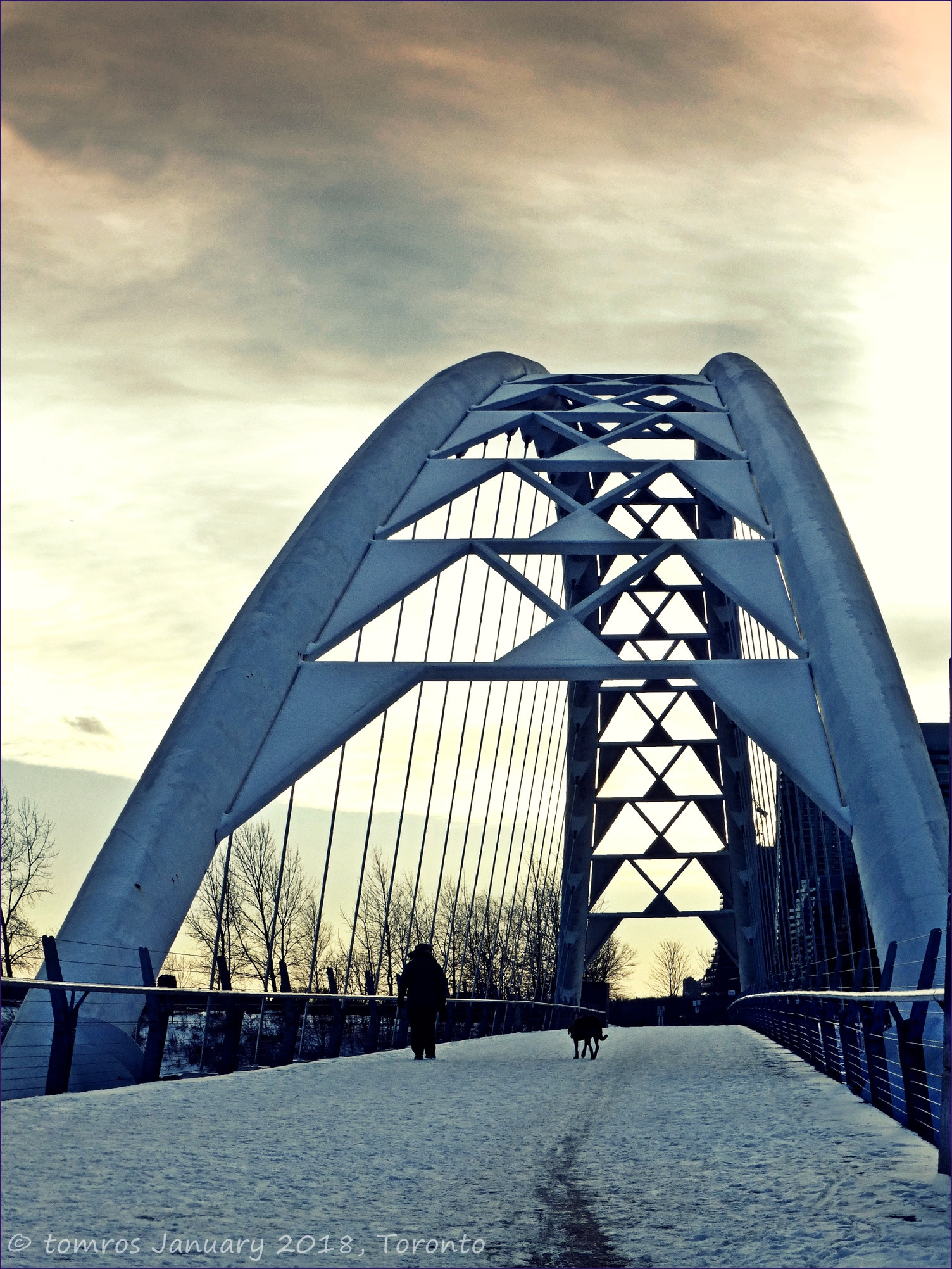 Panasonic Lumix DMC-ZS25 (Lumix DMC-TZ35) sample photo. Arch bridge over humber river. photography