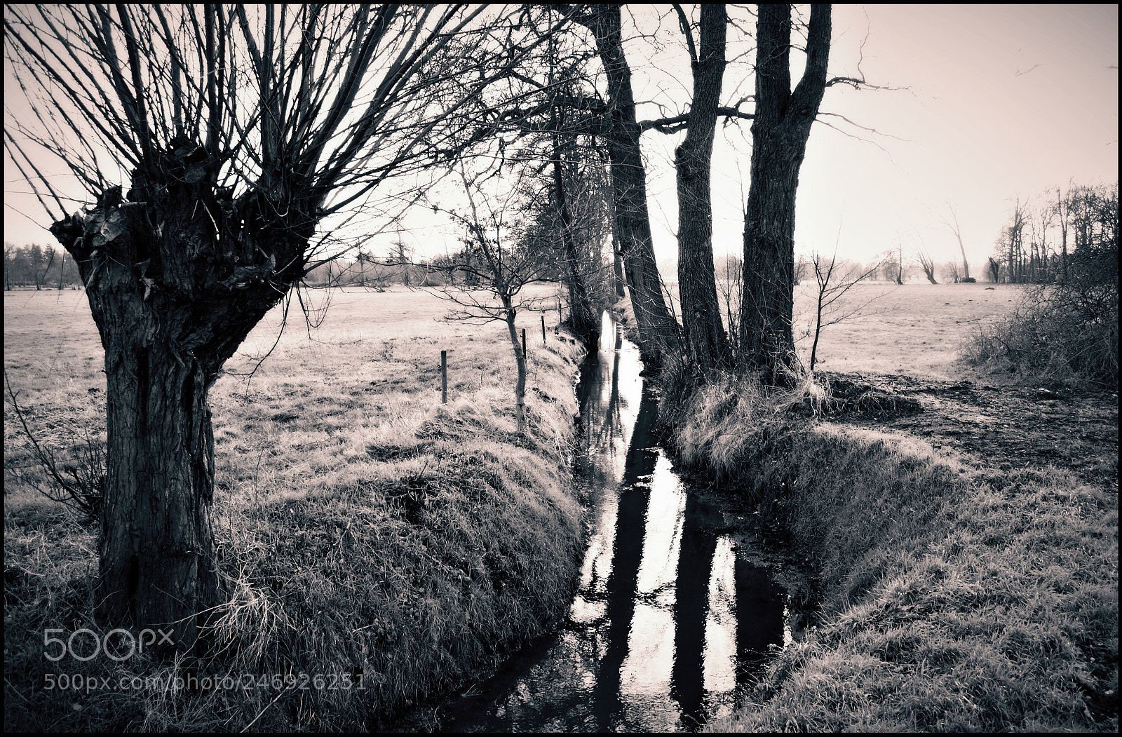 Nikon D5100 sample photo. Near by the water photography