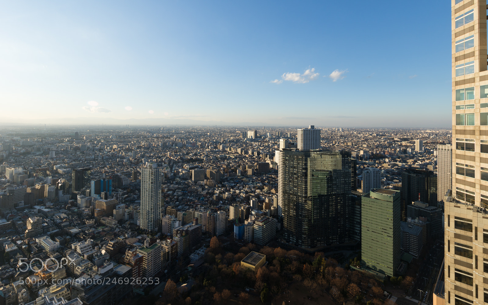 Pentax K-3 sample photo. Tokyo metropolitan government building photography