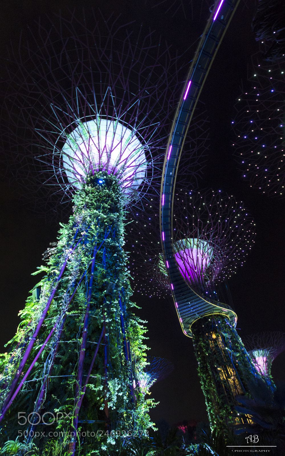 Pentax K-3 sample photo. Gardens by the bay photography