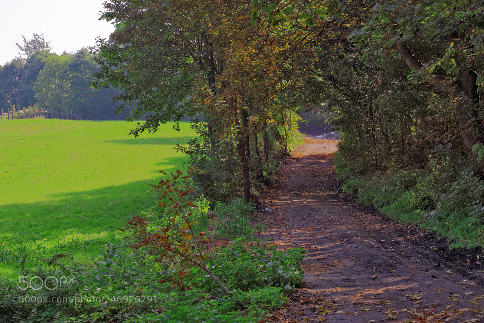 Nikon D5200 sample photo. Road photography