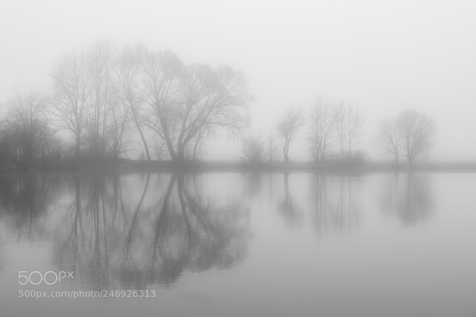 Fujifilm X-T20 sample photo. Fog photography