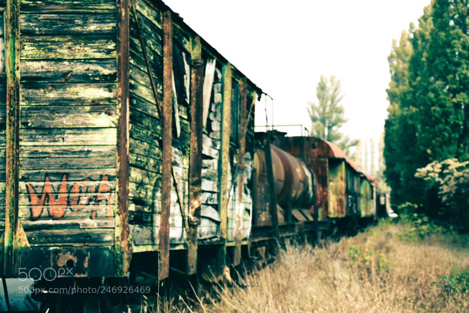 Nikon D3400 sample photo. Railroad dead end photography