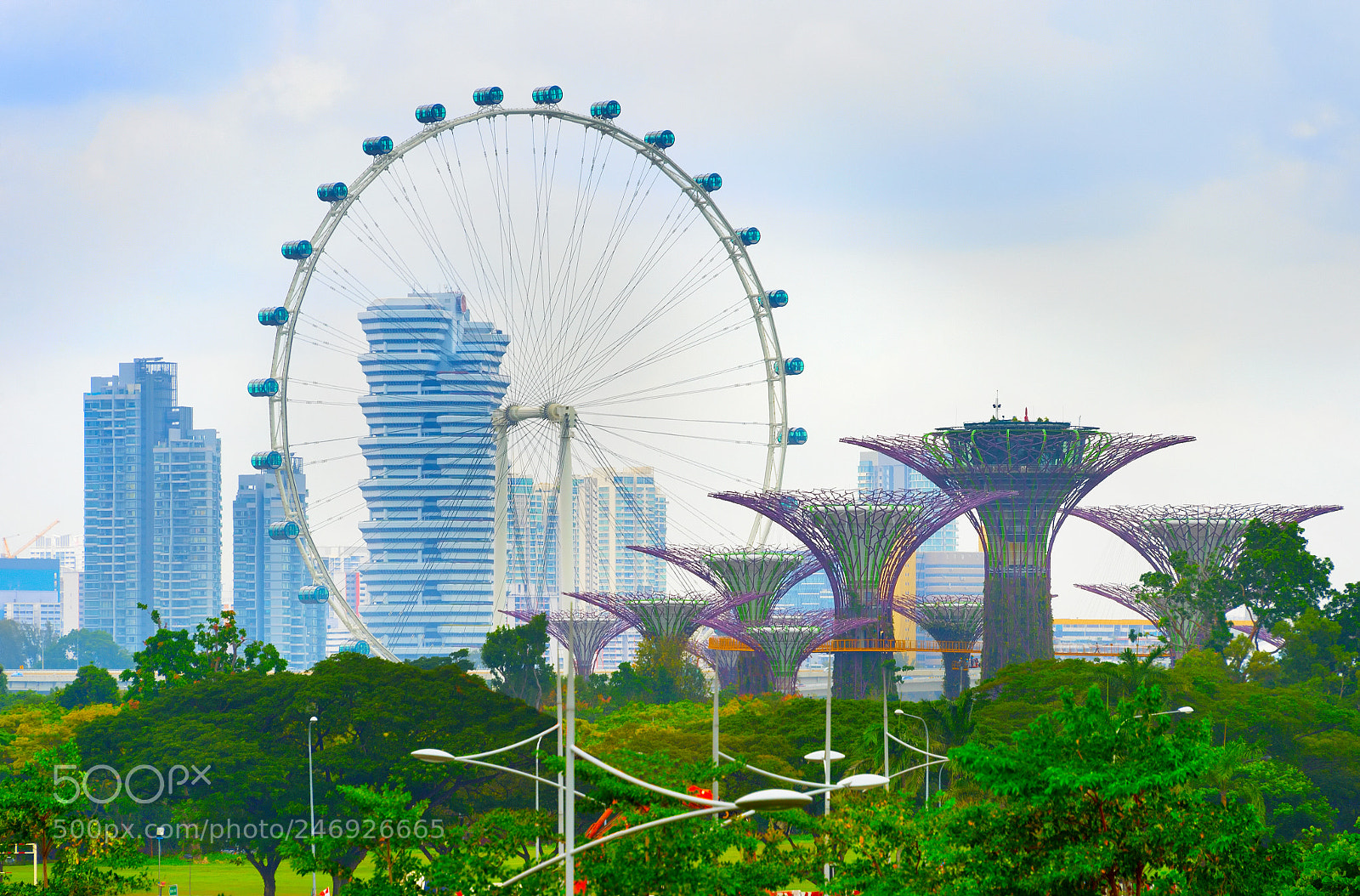 Nikon Df sample photo. Singapore flyer and garden photography