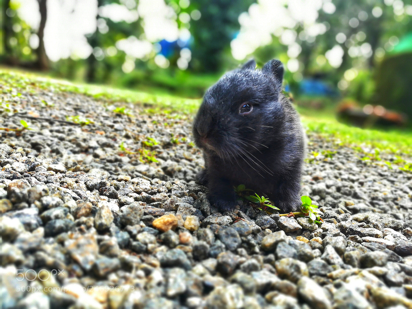 HUAWEI honor 6x sample photo. Untitled photography