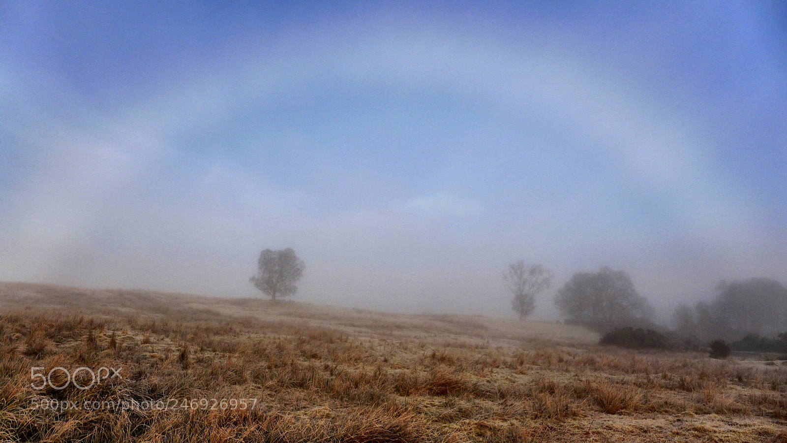 Panasonic Lumix DMC-LX7 sample photo. Morning fogbow photography