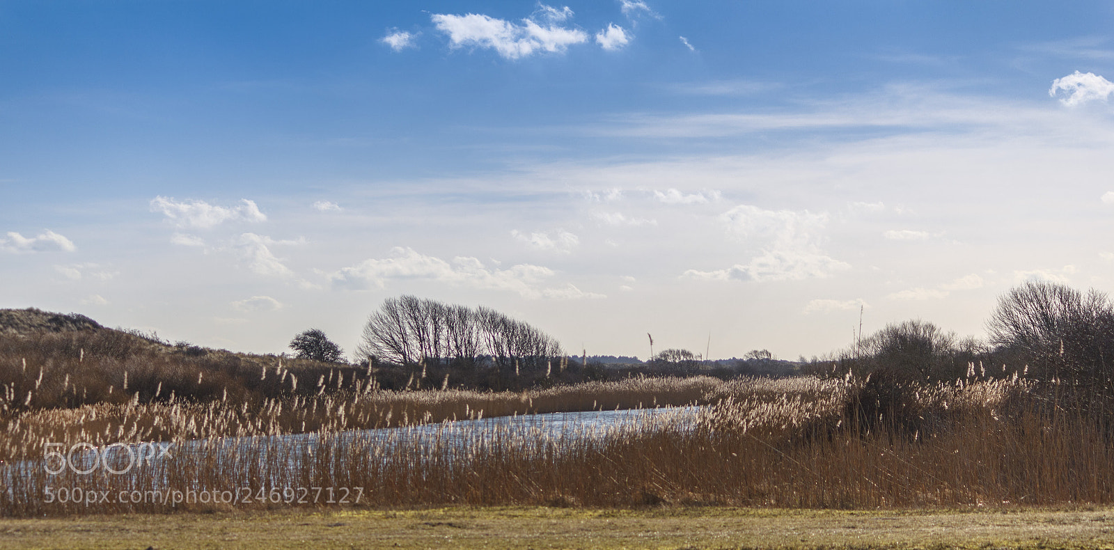 Canon EOS 550D (EOS Rebel T2i / EOS Kiss X4) sample photo. Waterleiding duinen photography