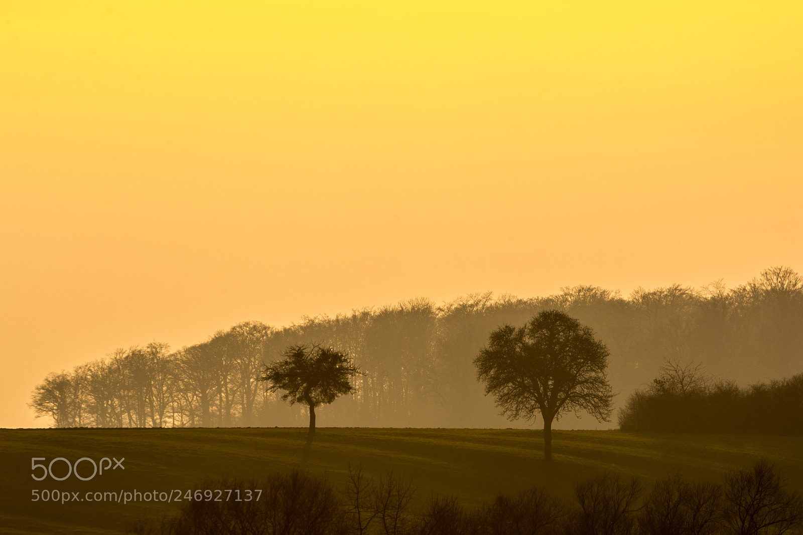 Nikon D7100 sample photo. Zwei im abendlicht photography