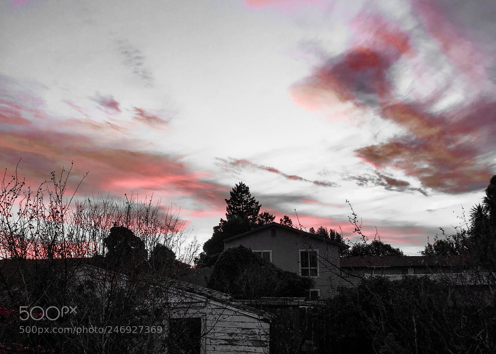 Apple iPhone 8 Plus sample photo. Painted sky v3 in photography