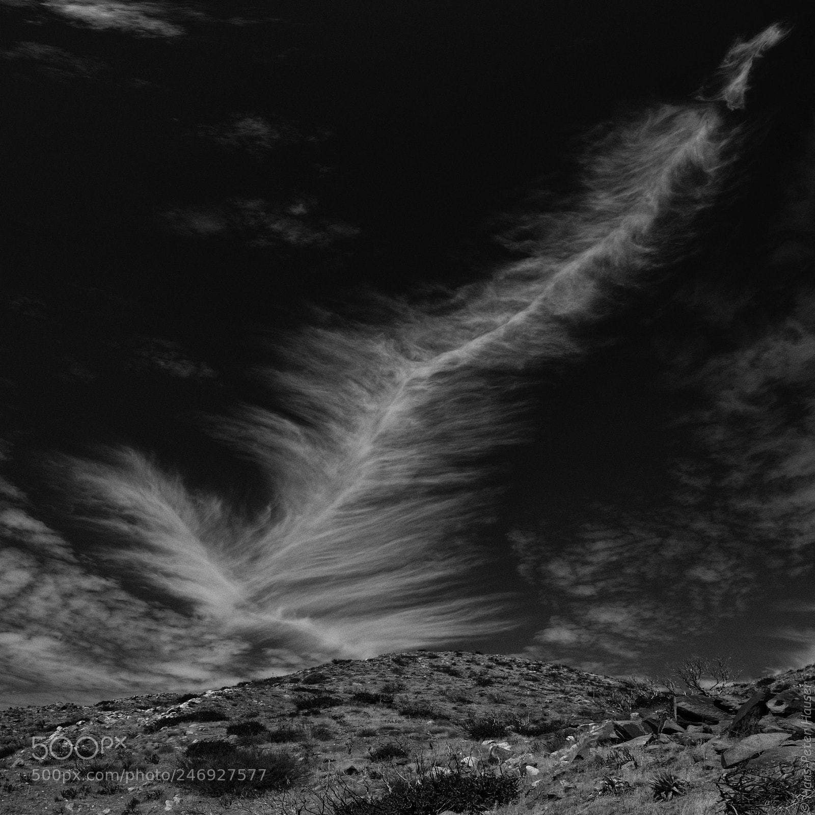 Fujifilm X-T2 sample photo. Giant feather cloud above photography