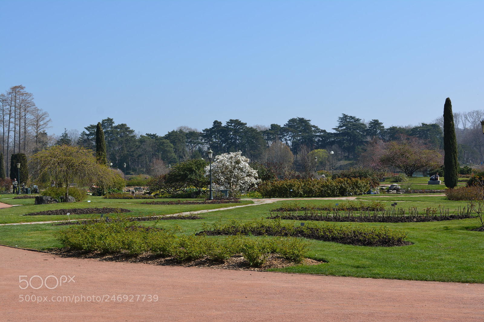 Nikon D5200 sample photo. Botanical beauty photography