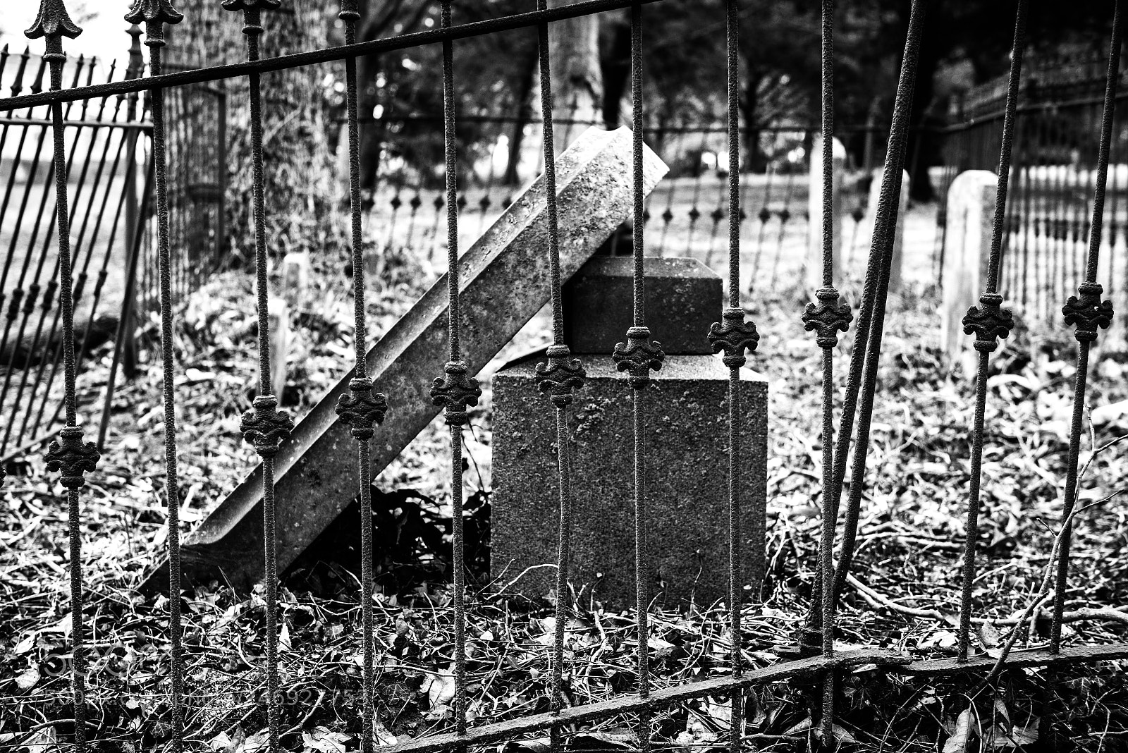Nikon D800 sample photo. Ravages of time photography