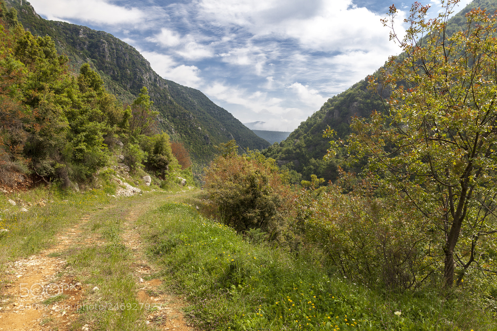 Canon EOS 5D Mark II sample photo. Tannourine valley photography