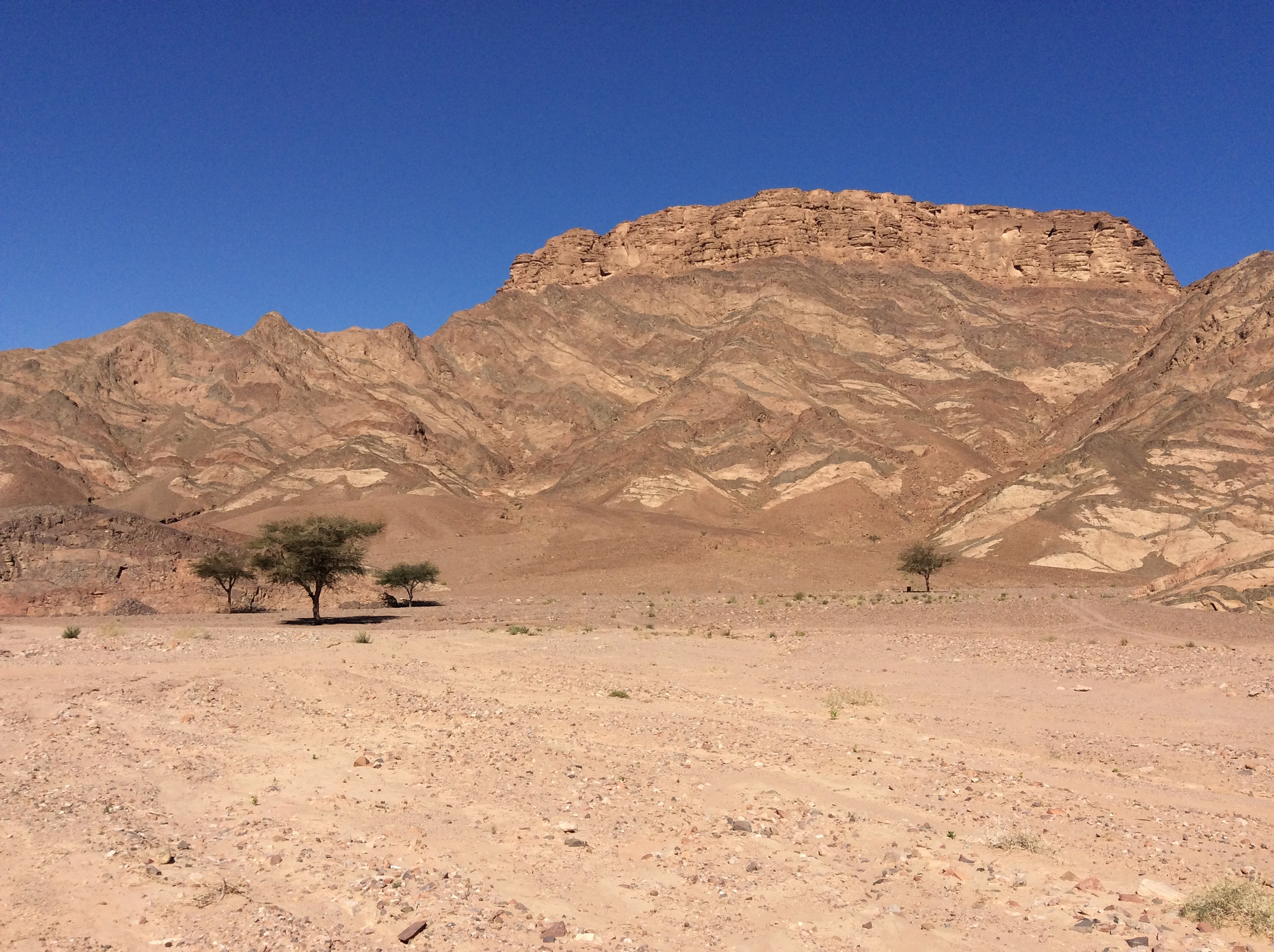 Apple iPad mini 3 sample photo. Sinai deserts photography