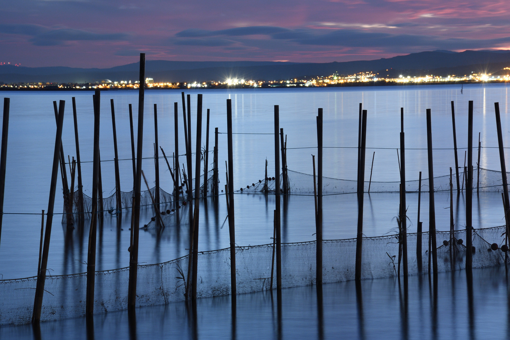 Nikon D7500 sample photo. La albufera natural park photography