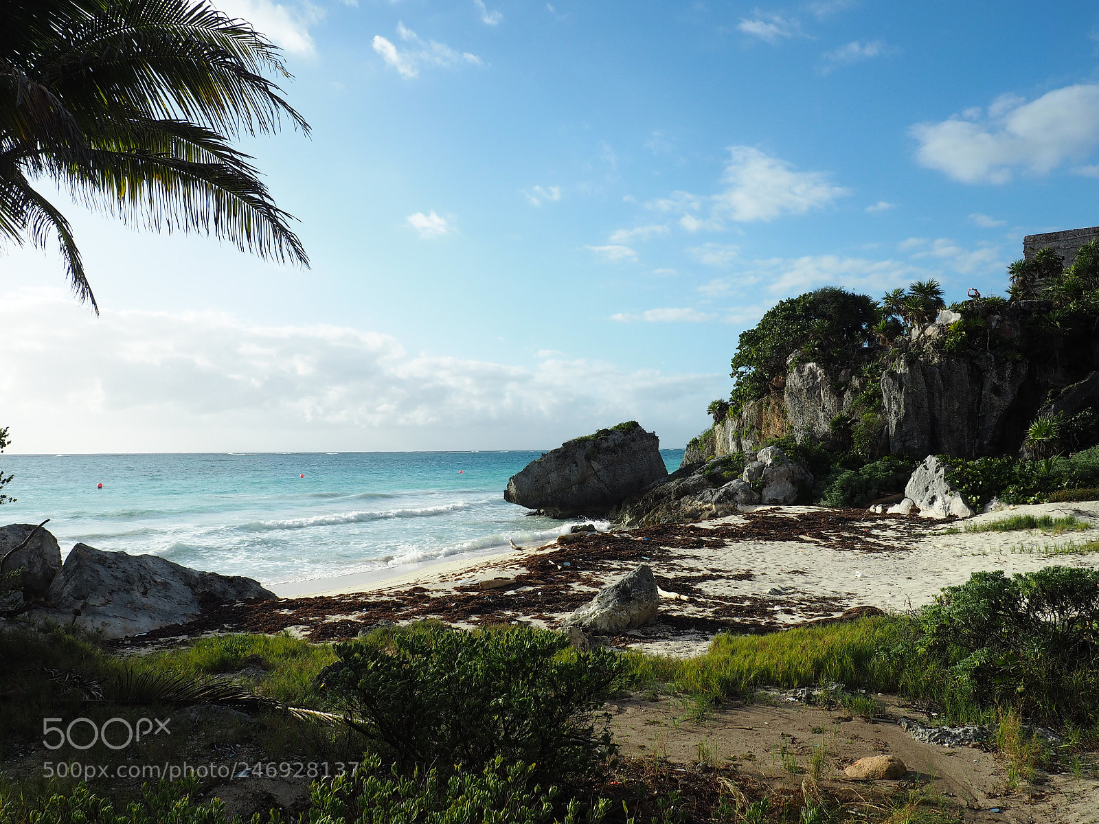 Olympus OM-D E-M10 sample photo. Tulum playa photography