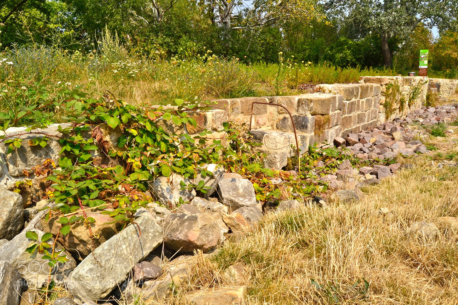 Nikon D3100 sample photo. Pulvermühlenpark 2 photography