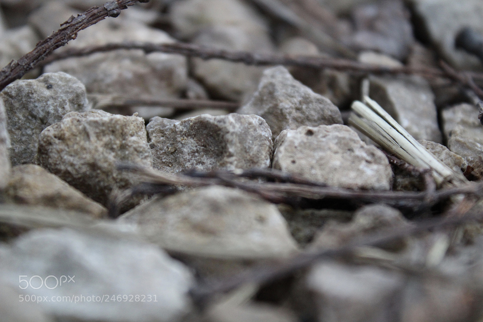 Canon EOS 1300D (EOS Rebel T6 / EOS Kiss X80) sample photo. Rocks,rocks,rocks photography