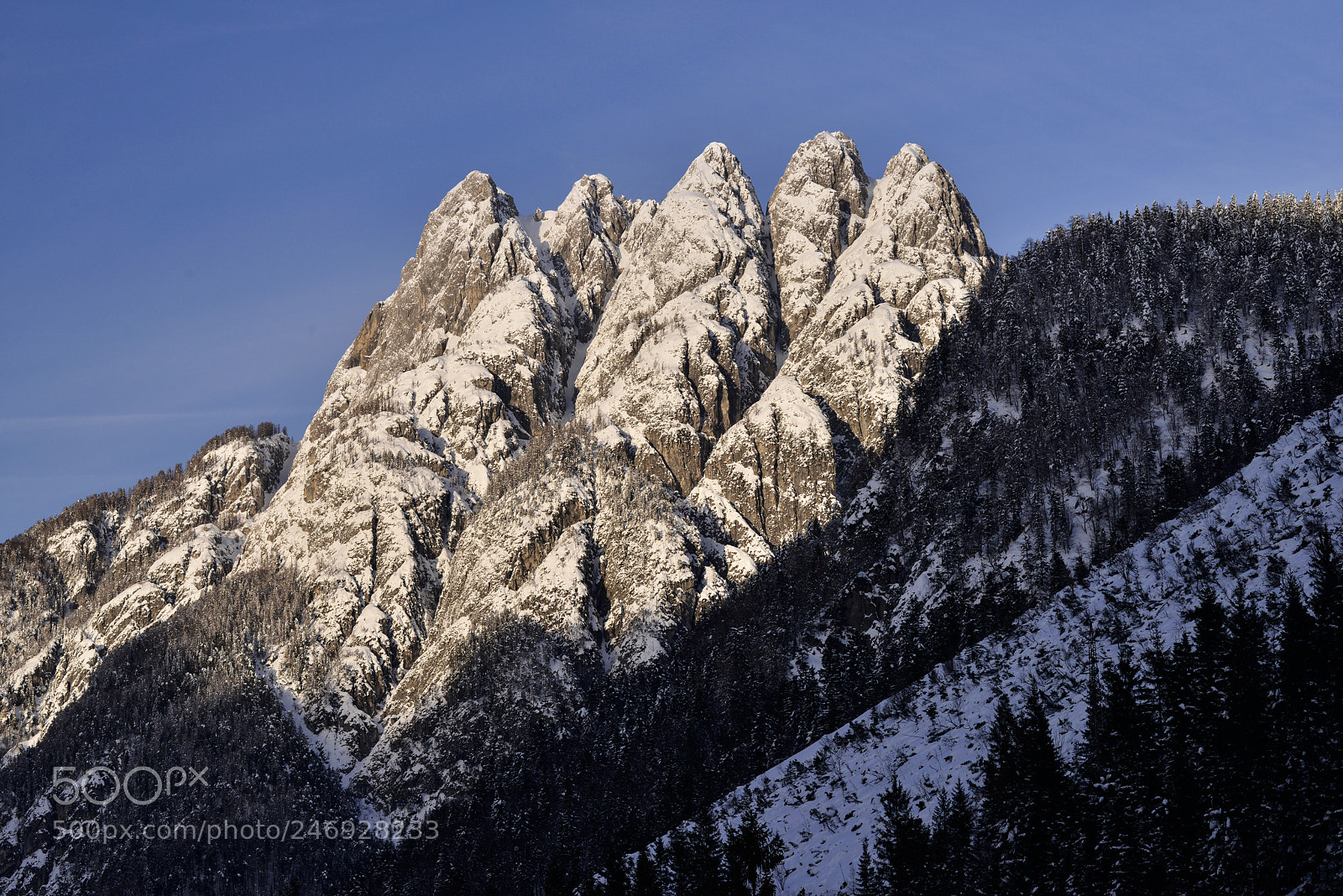 Nikon D800 sample photo. Cinque punte in sunshine photography