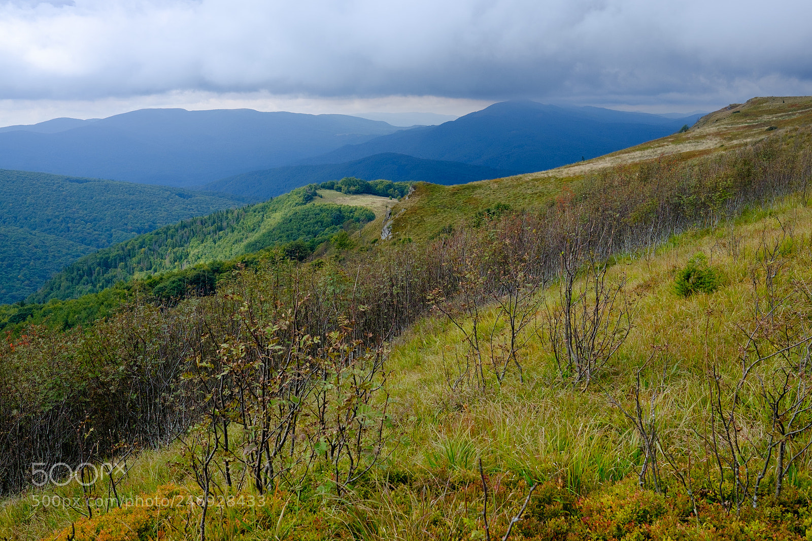 Fujifilm X-E2 sample photo. Bieszczady photography