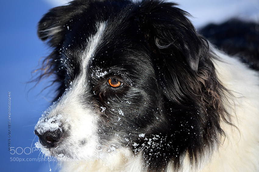 Nikon D3200 sample photo. Sigh... photography