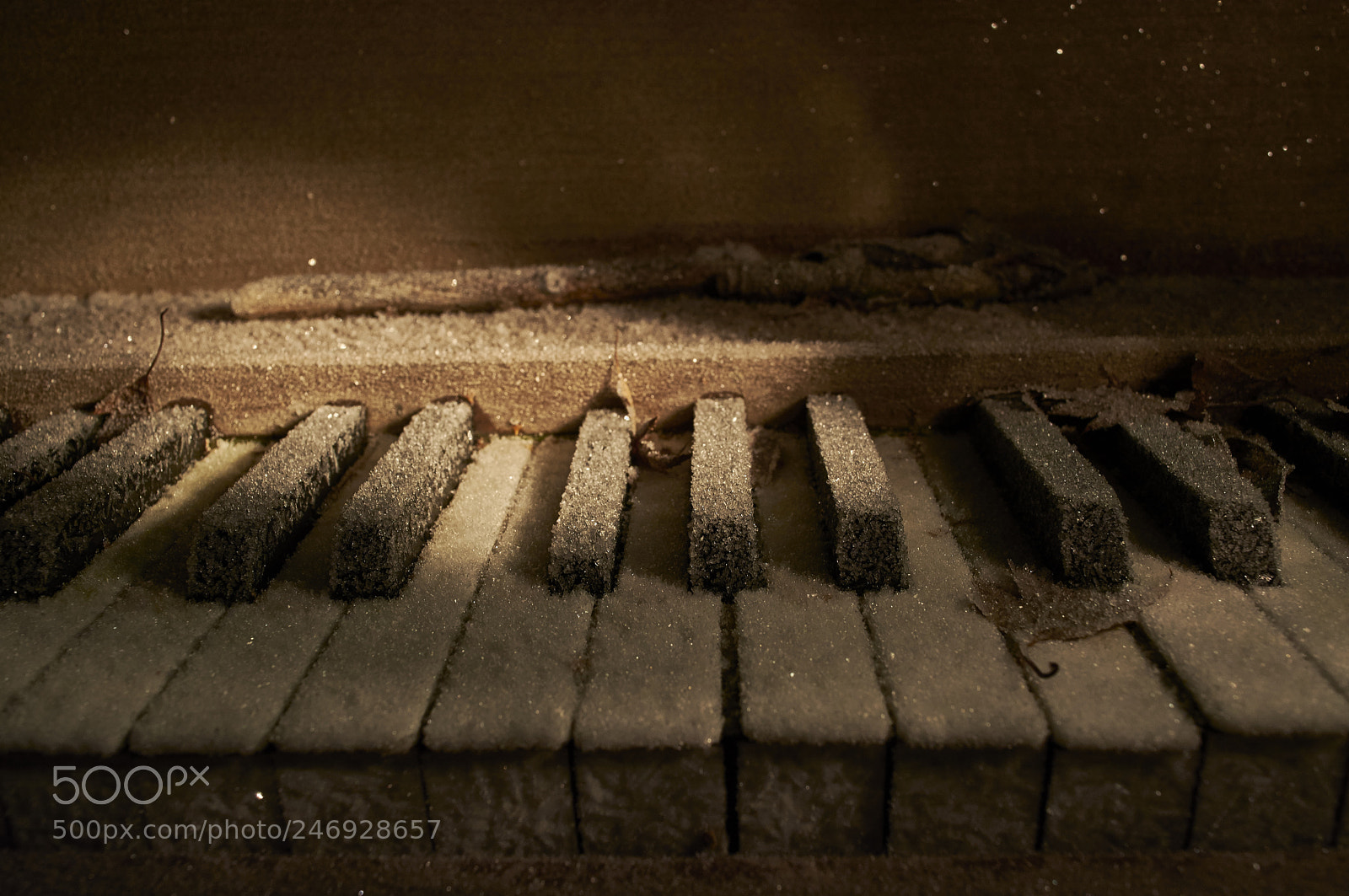 Nikon D5200 sample photo. Frozen piano photography