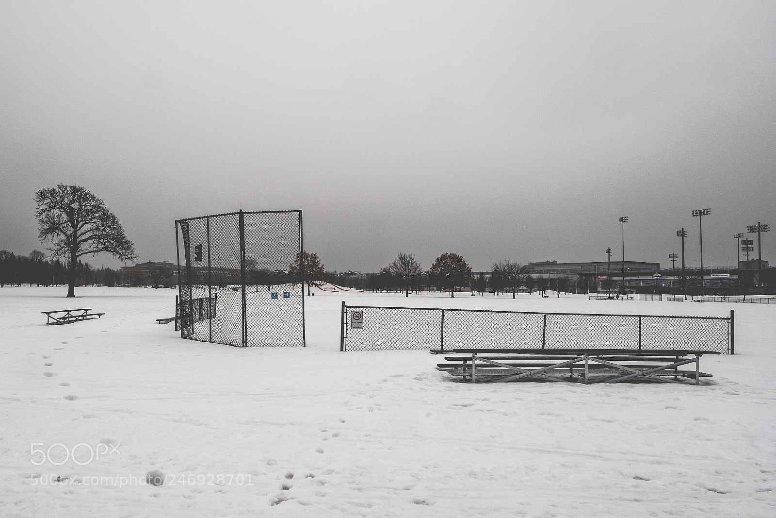 Fujifilm X-T2 sample photo. Baseball arena photography