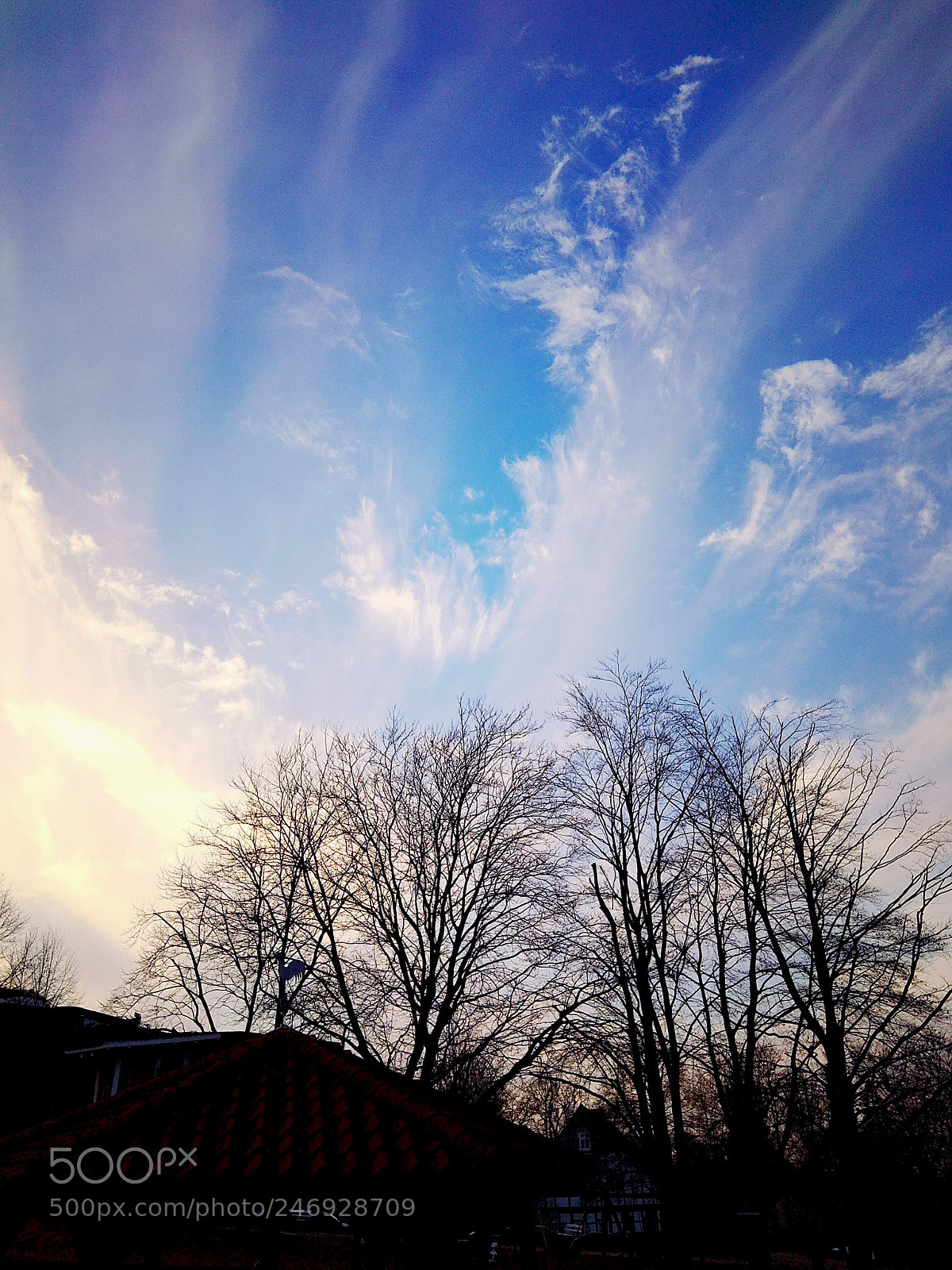 Xiaomi Redmi Note 4 sample photo. Untitled photography
