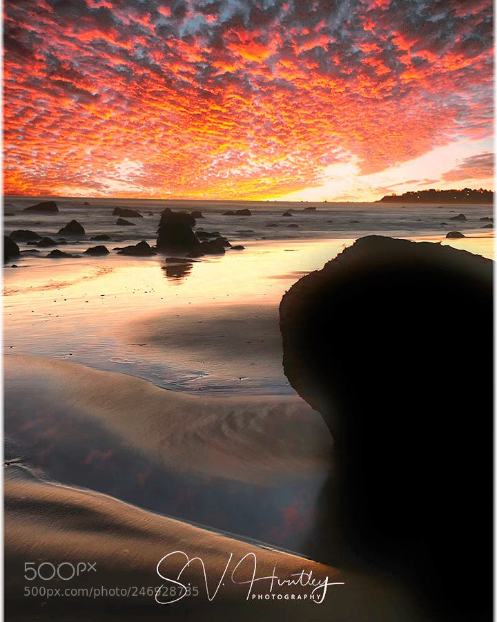 Nikon D810 sample photo. Sunset white horse beach photography
