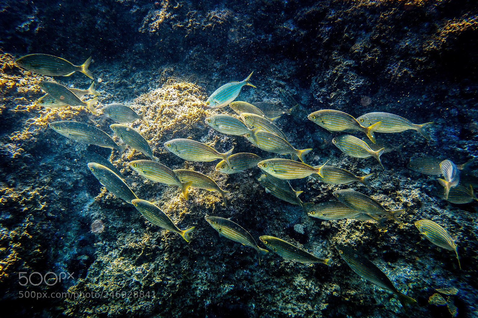 Samsung NX300 sample photo. Under the waves photography