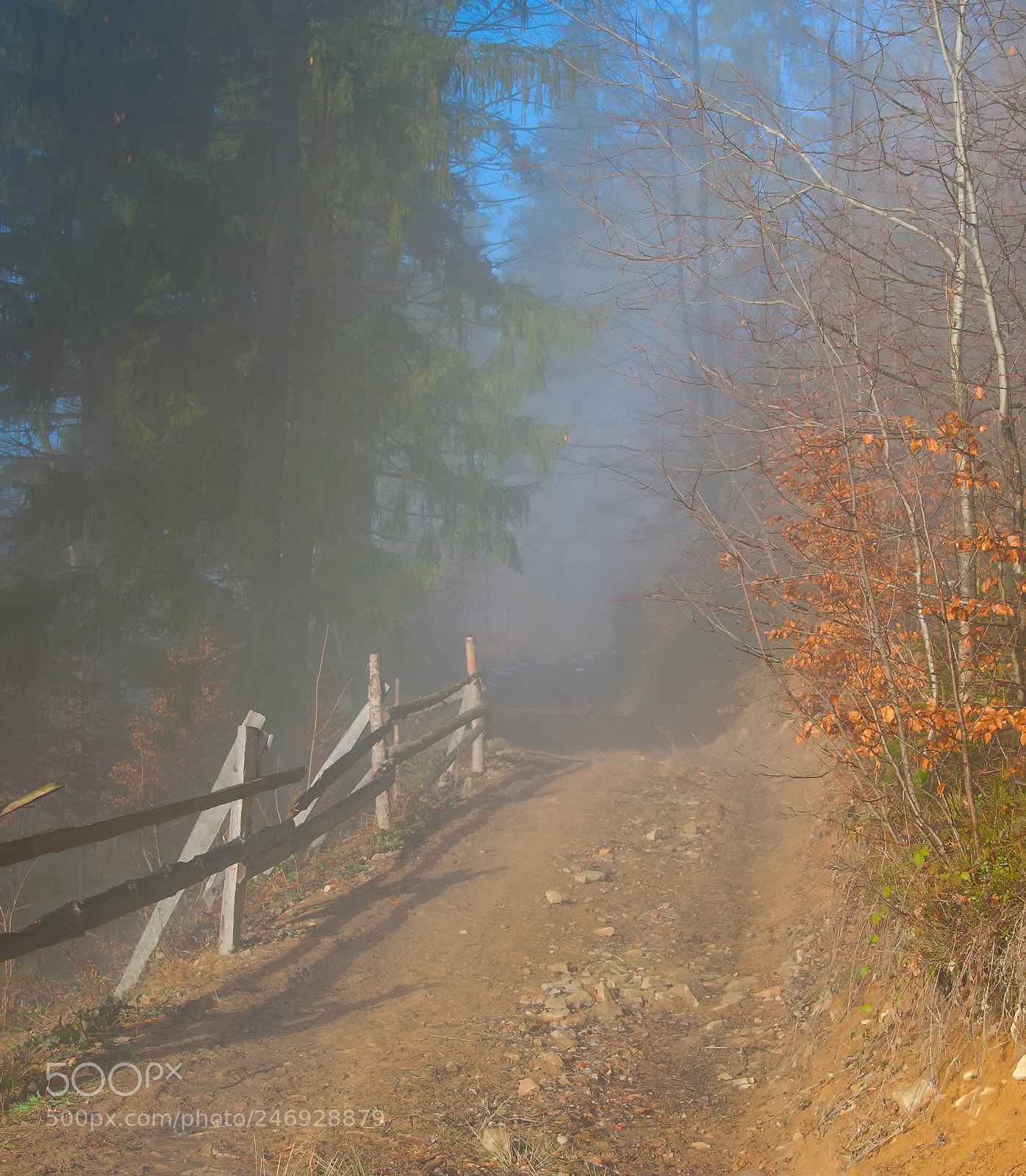 Nikon D700 sample photo. Countryside road trough misty photography