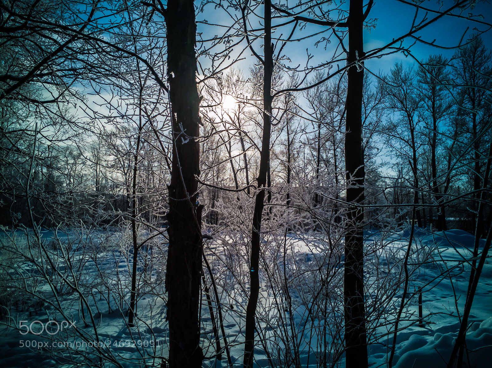 HUAWEI P10 sample photo. Snow & sun photography