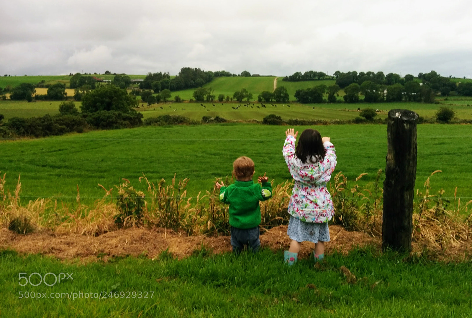LG Nexus 5 sample photo. Irlanda.jpg photography
