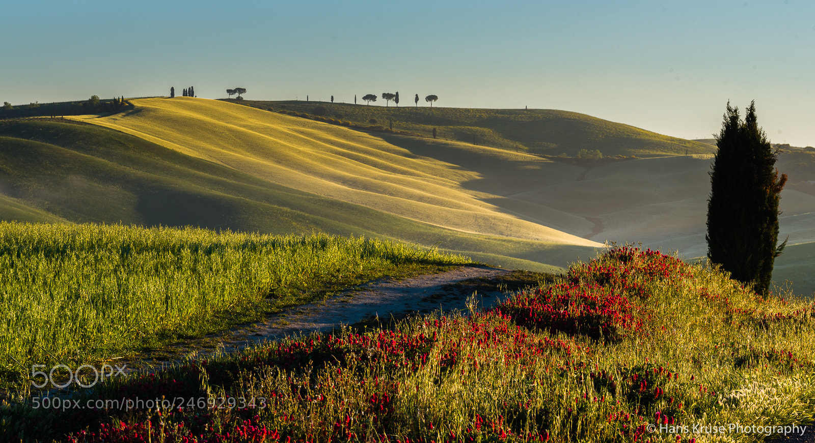 Nikon D810 sample photo. Morning light photography