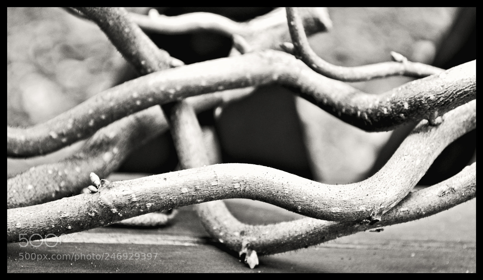 Nikon D5100 sample photo. To gether photography