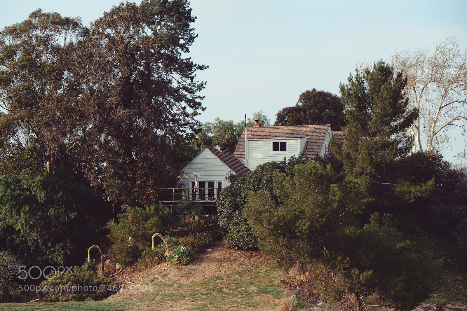 Fujifilm X-T20 sample photo. Home photography