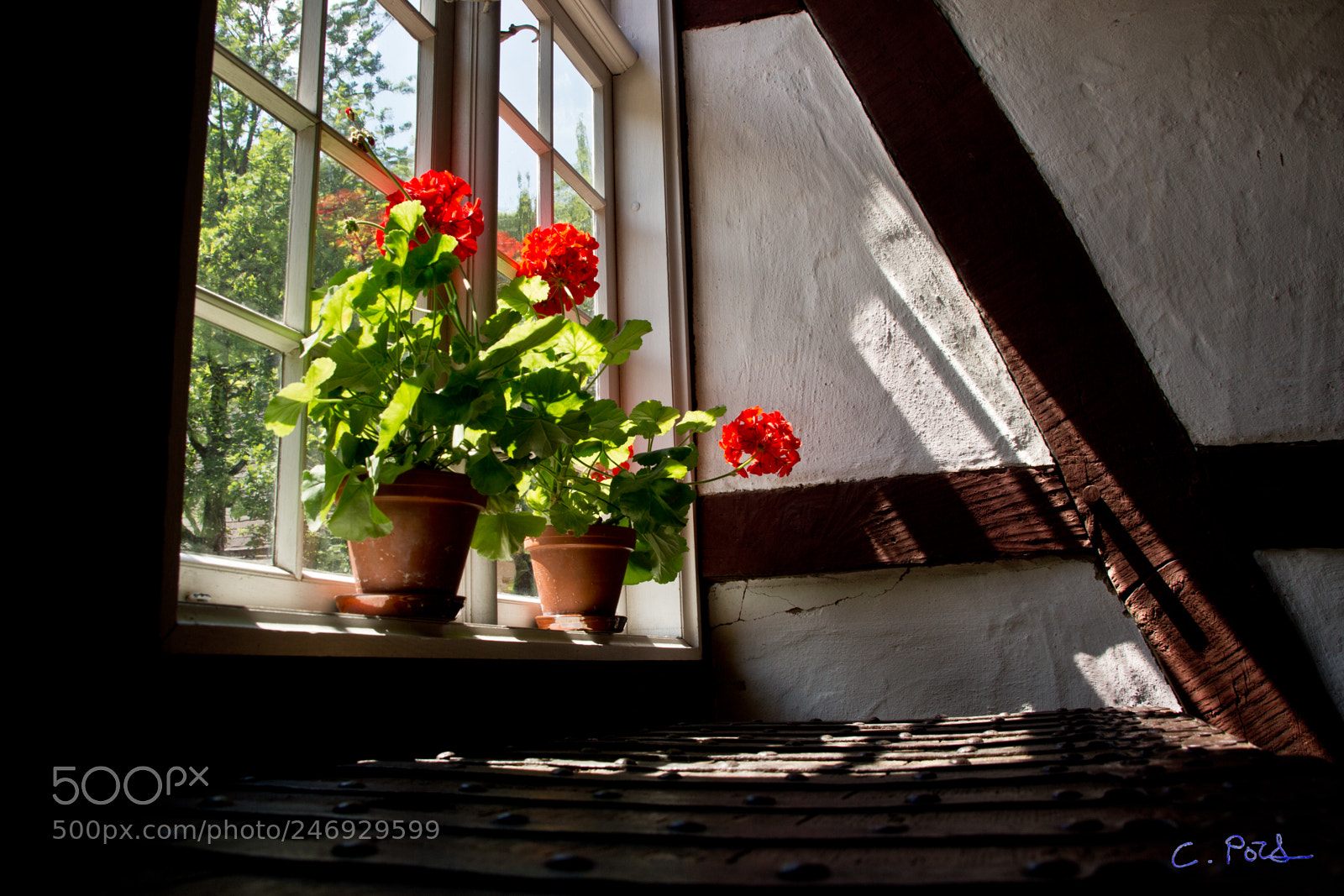 Canon EOS 700D (EOS Rebel T5i / EOS Kiss X7i) sample photo. Sonne & wachstum photography