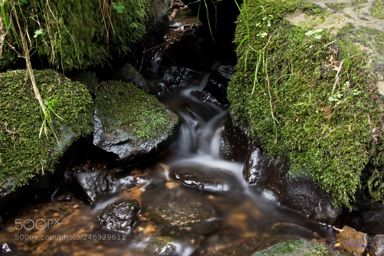 Canon EOS 700D (EOS Rebel T5i / EOS Kiss X7i) sample photo. Alles gro e fing photography